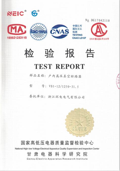 VS1檢驗報告